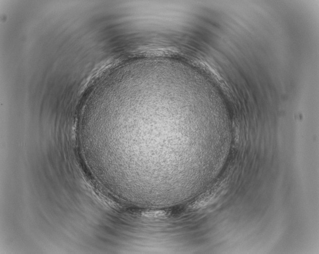 X0000087380357200705111741