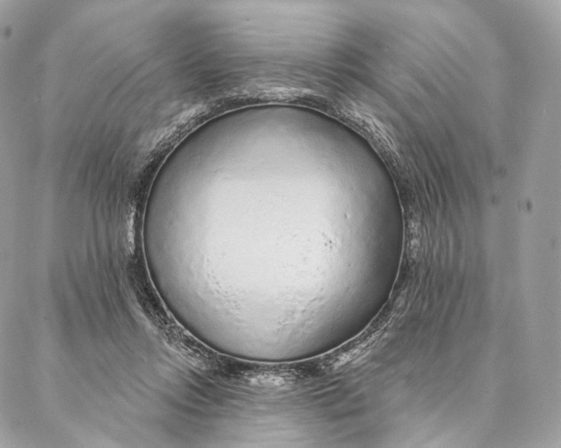 X0000087380358200705111741