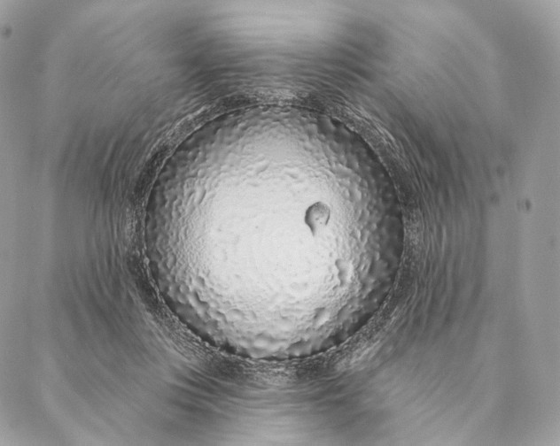 X0000087380359200705111741