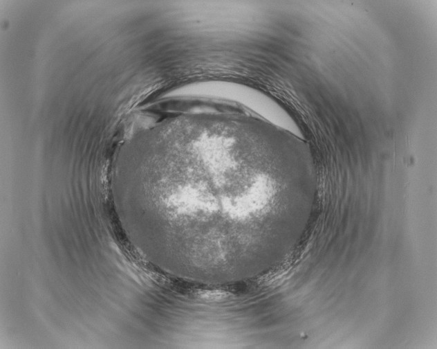 X0000087380360200705111741