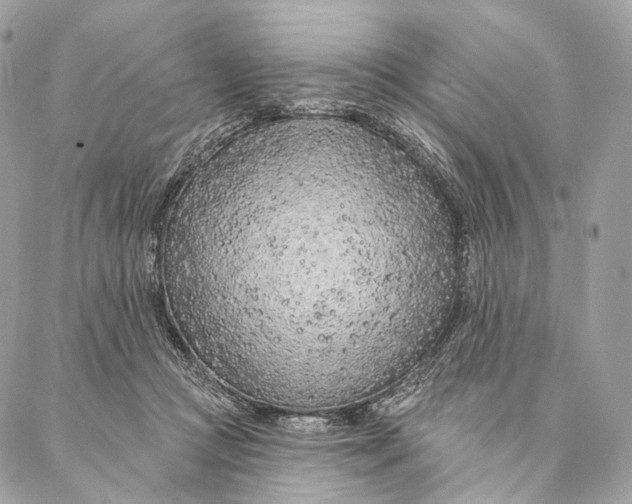 X0000087380361200705111741