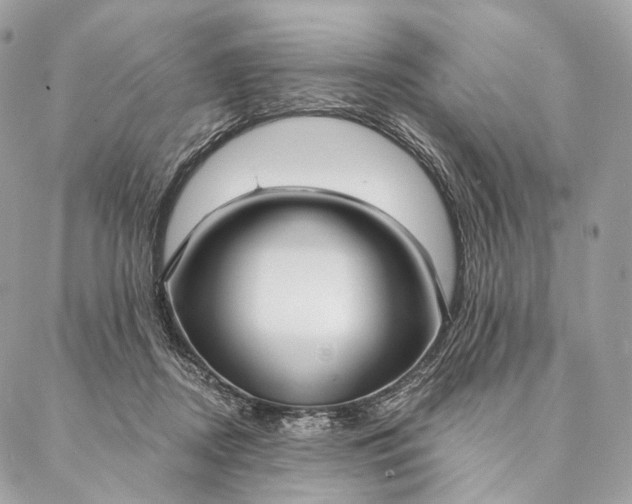 X0000087380362200705111741