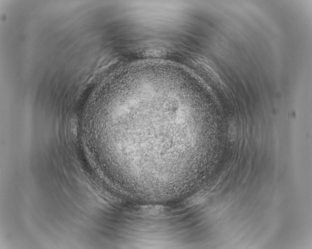 X0000087380363200705111741