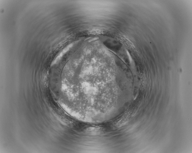 X0000087380364200705111741