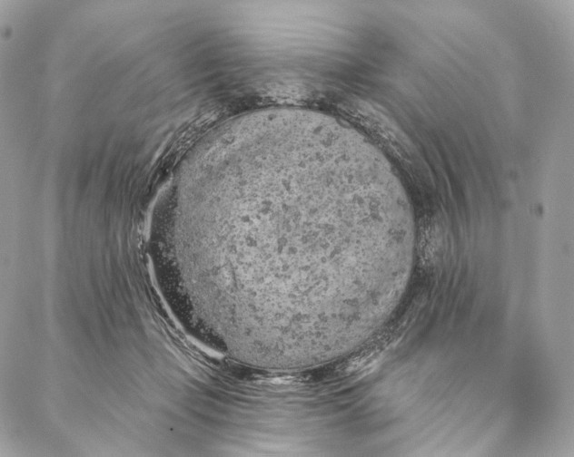 X0000087380365200705111741