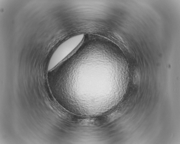 X0000087380366200705111741