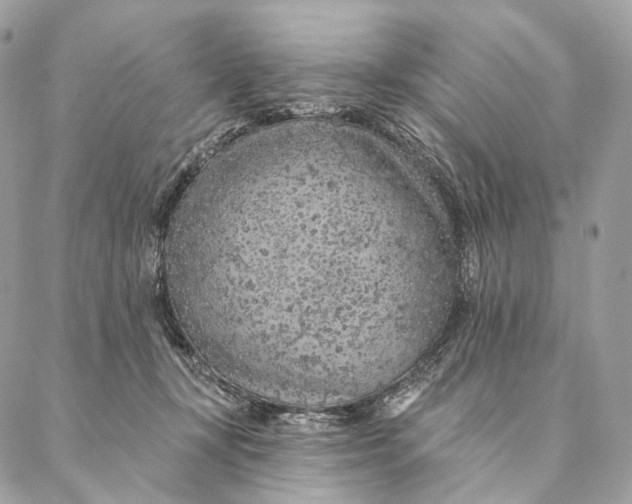 X0000087380367200705111741