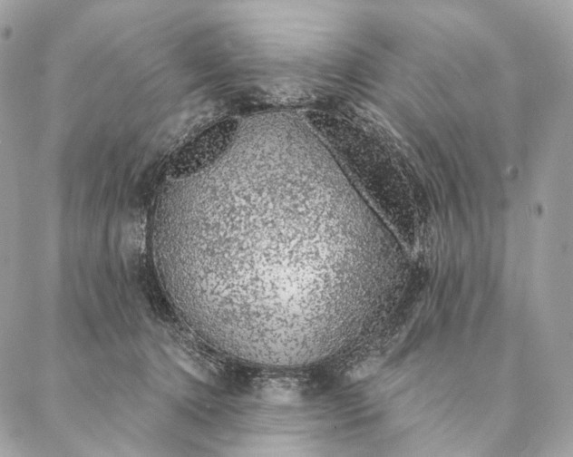 X0000087380368200705111741