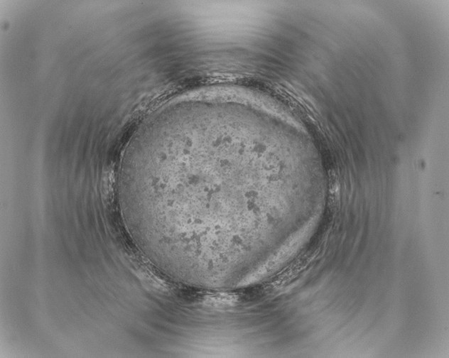 X0000087380369200705111741