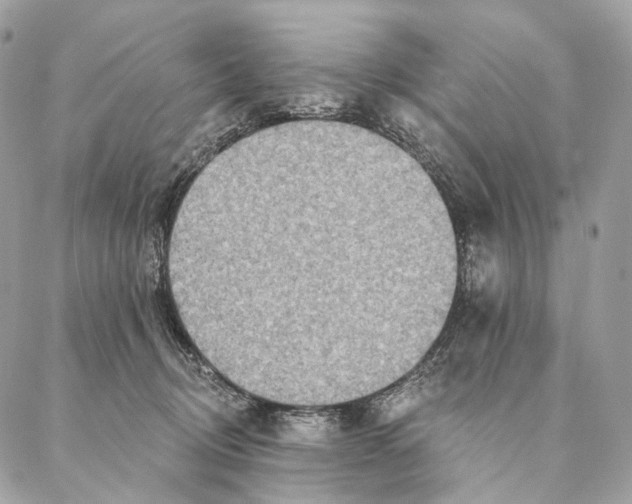 X0000087380370200705111741