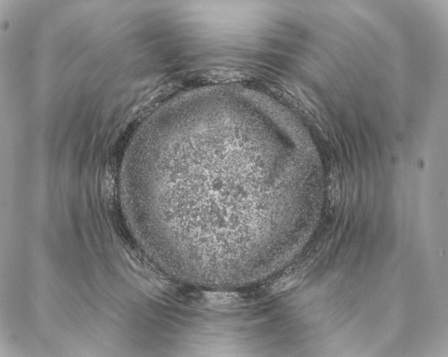 X0000087380371200705111741