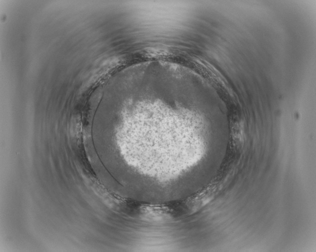 X0000087380372200705111741