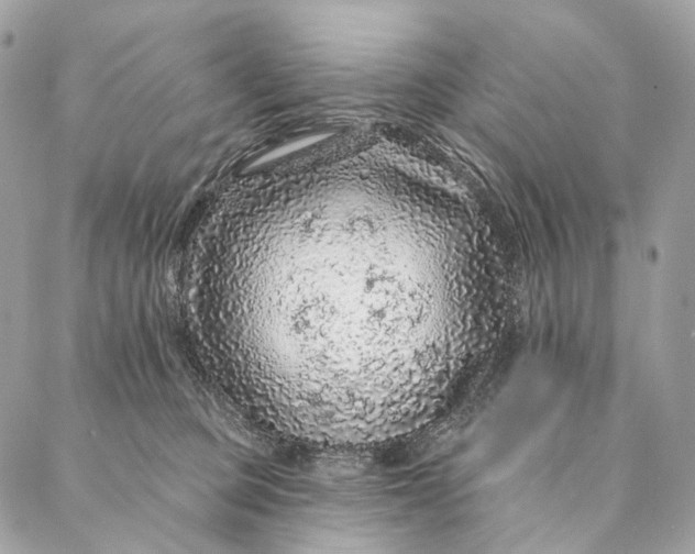 X0000087380373200705111741