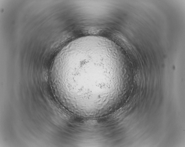 X0000087380374200705111741