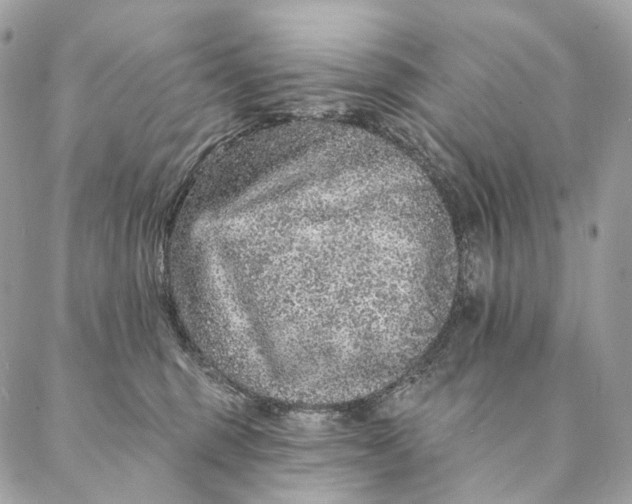 X0000087380375200705111741