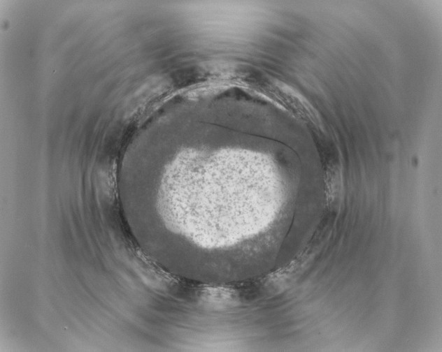 X0000087380376200705111741