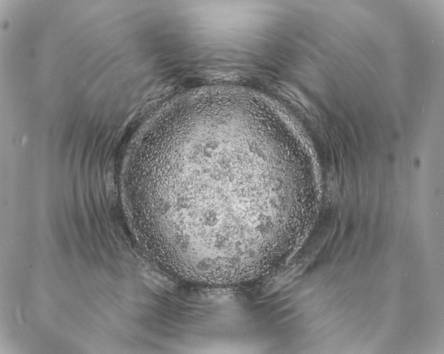 X0000087380377200705111741