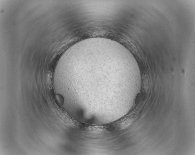 X0000087380378200705111741