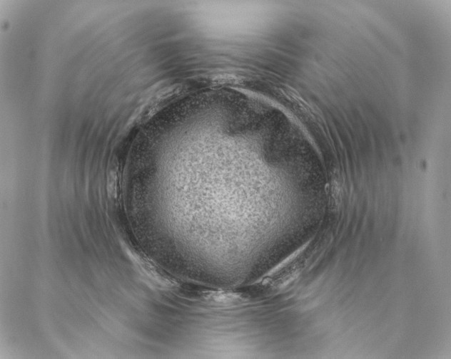 X0000087380379200705111742