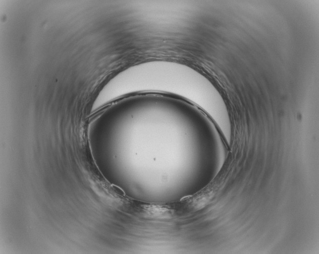 X0000087380380200705111742