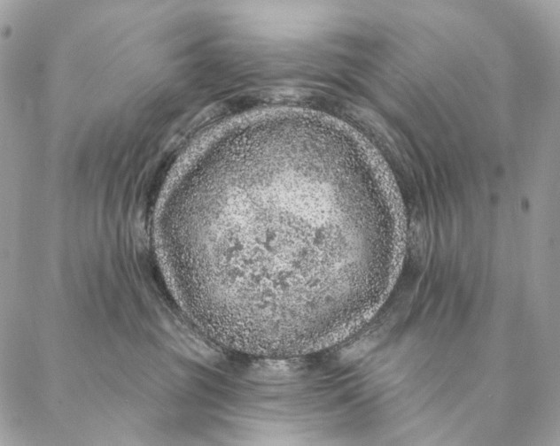 X0000087380381200705111742