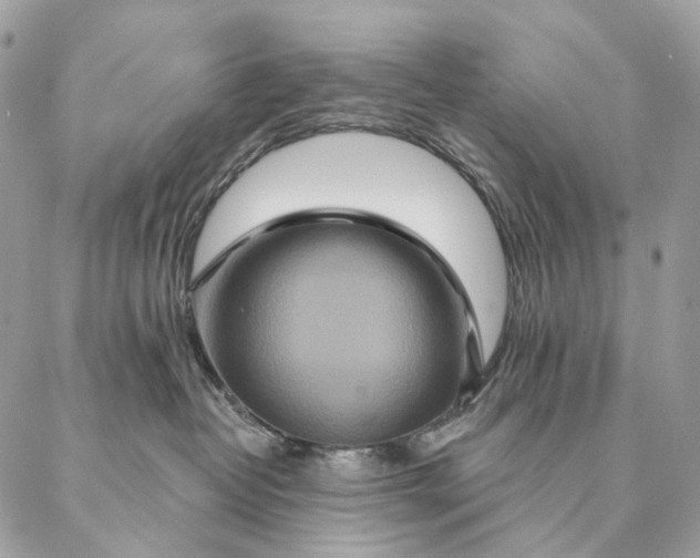 X0000087380382200705111742