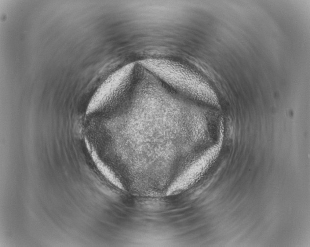 X0000087380383200705111742