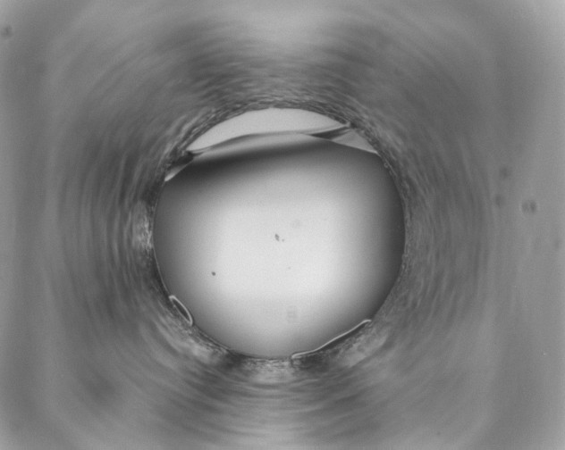 X0000087380384200705111742