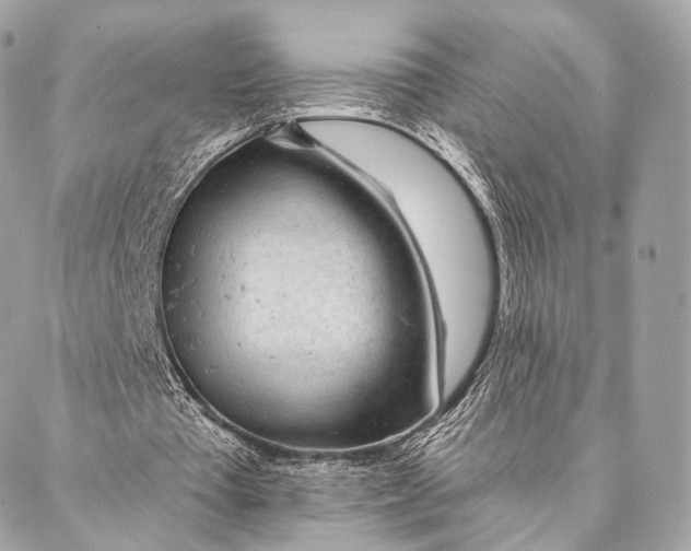 X0000087380385200705111741