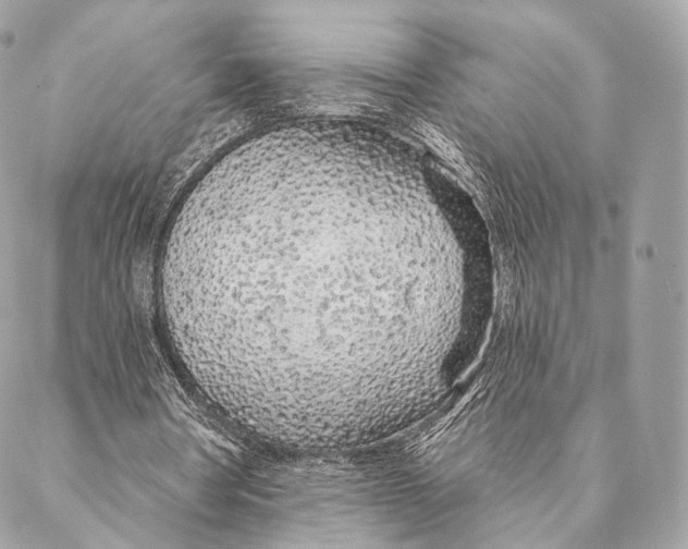 X0000087380386200705111741