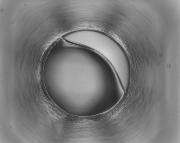 X0000087380387200705111741