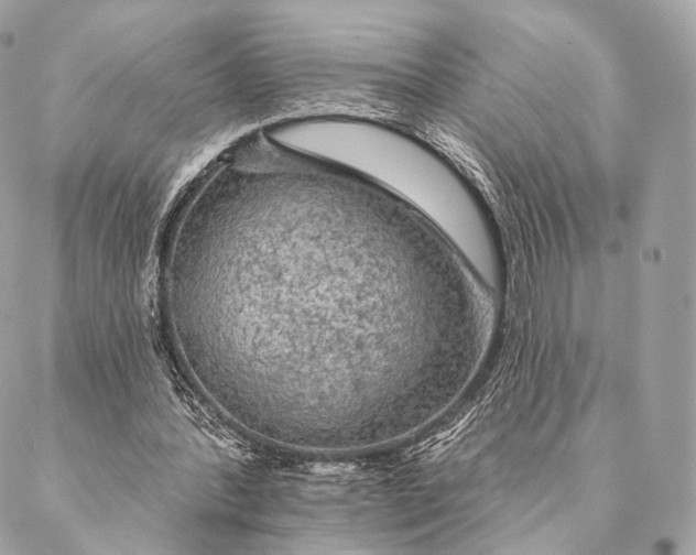 X0000087380388200705111741