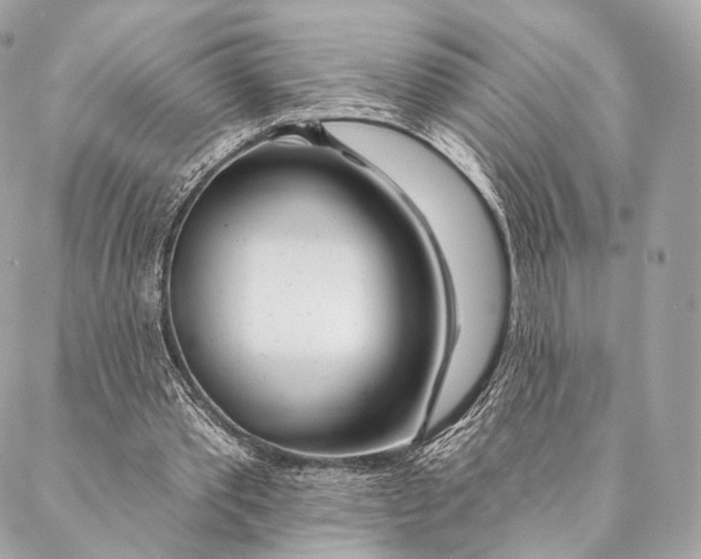 X0000087380389200705111741