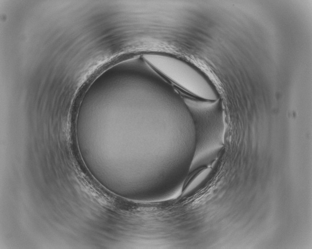 X0000087380391200705111741