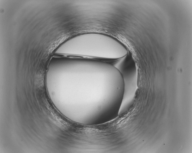 X0000087380393200705111741