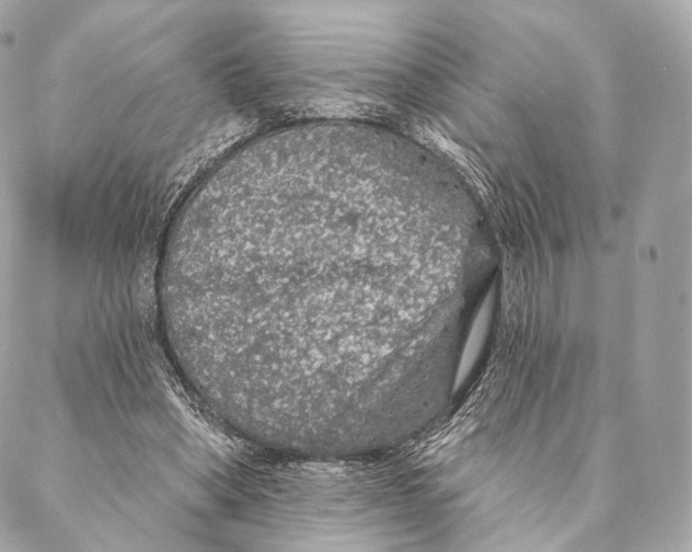 X0000087380394200705111741