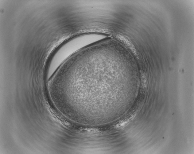 X0000087380395200705111741