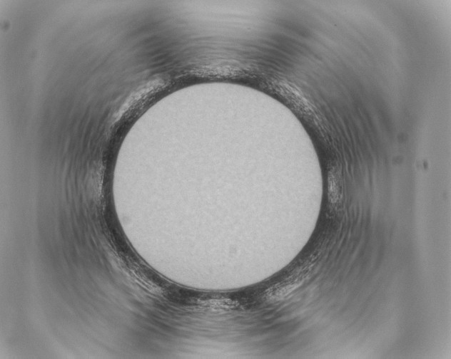 X0000087380396200705111741