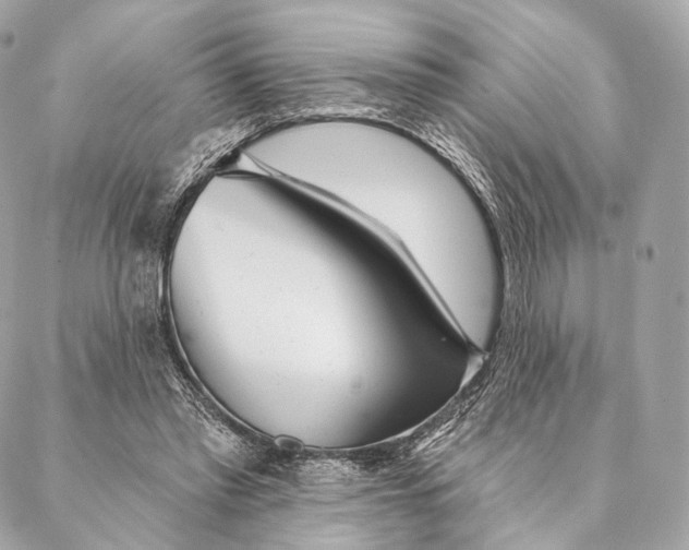 X0000087380397200705111741