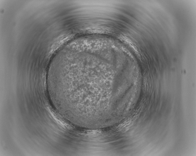 X0000087380398200705111741