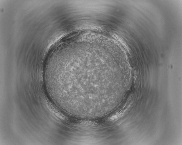 X0000087380399200705111741