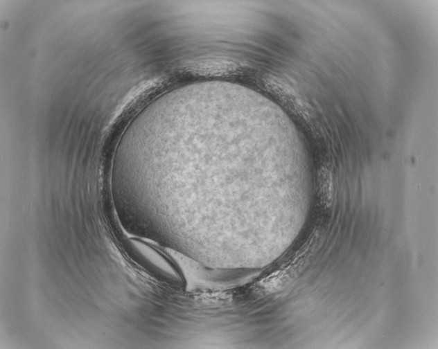 X0000087380400200705111741