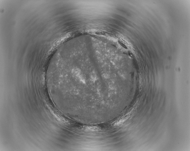 X0000087380401200705111741