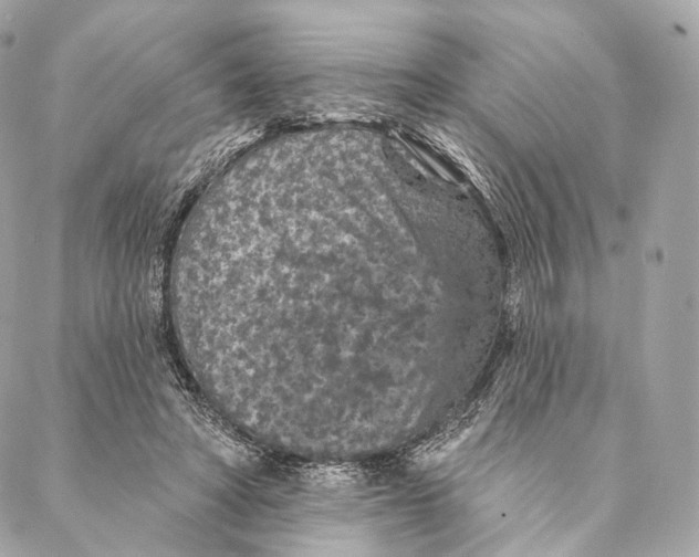 X0000087380402200705111741