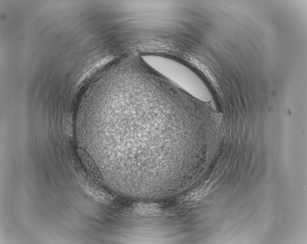 X0000087380403200705111741