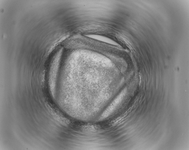 X0000087380404200705111740