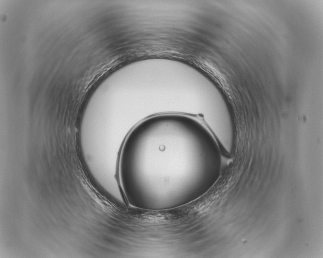 X0000087380405200705111740