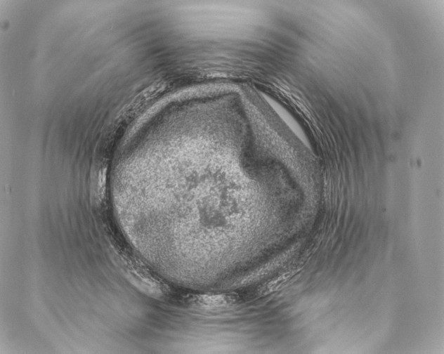 X0000087380406200705111740