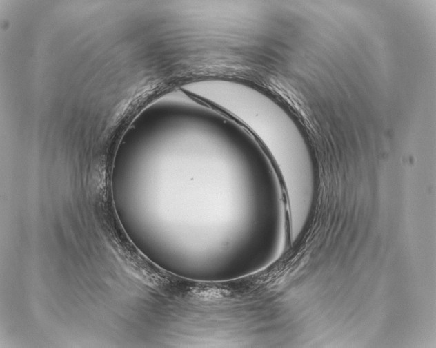 X0000087380407200705111740