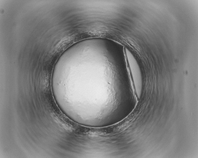 X0000087380408200705111740